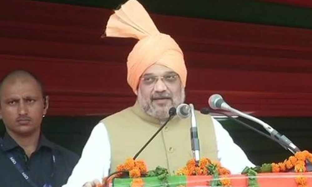 BJP will form govt in Haryana with absolute majority: Amit Shah