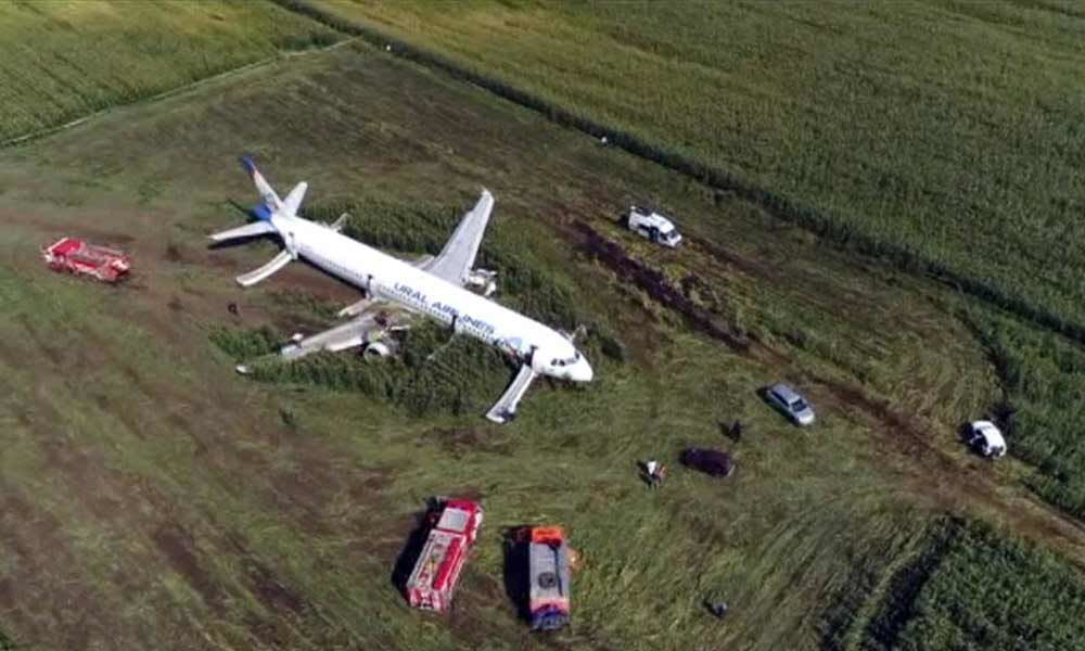 Russian pilot safely lands jetliner disabled by bird strike