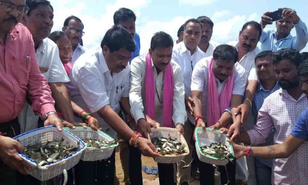 Asifabad: MLA releases fish seedlings in Ada project