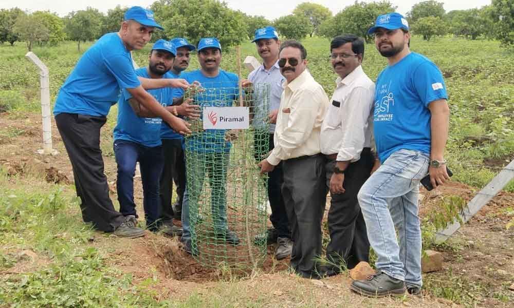 Piramal to plant 1.26 lakh saplings on highway-65