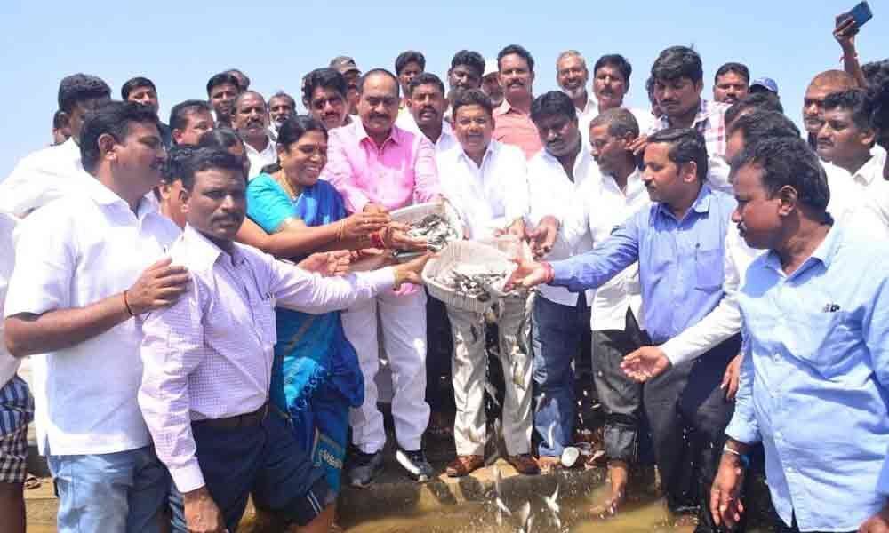 Wyra MLA, Khammam ZP chairman release fishlings into reservoir