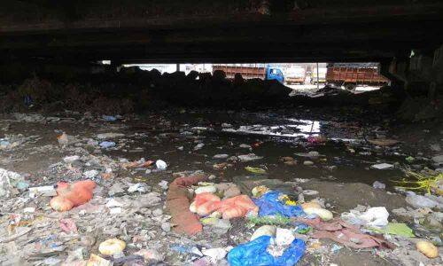 Garbage piles up under flyover
