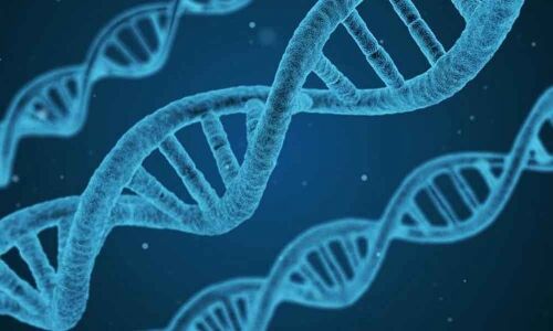 Prenatal drinking can alter babys genes