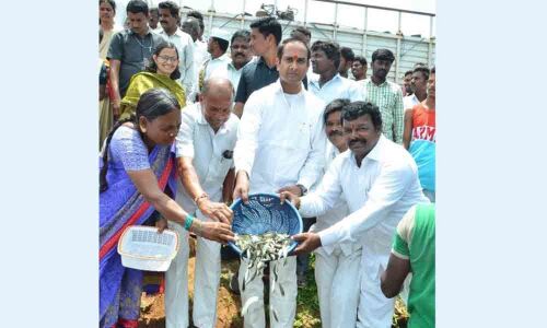 Nalgonda: Fishlings released into Pedda Cheruvu, Vura Cheruvu