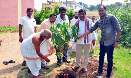 Temple staff take up Haritha Haram in Bhadrachalam