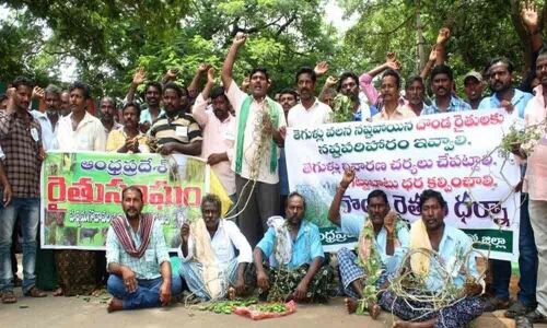 Tindora farmers stage dharna in Eluru