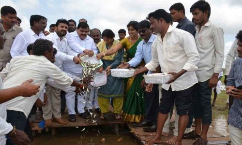 MLC Patnam Mahender Reddy releases fishlings in tank