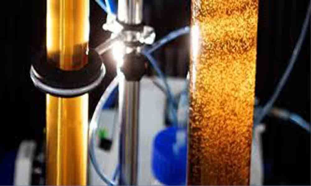 IIT researchers develop product to recover fertilizers, water from urine