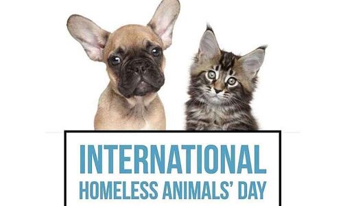 International Homeless Animals Day 2019 — Every Animal deserves a Second chance.