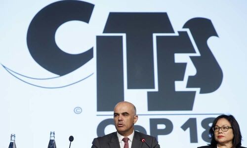 From tusks to tails, nations eye trade in endangered species