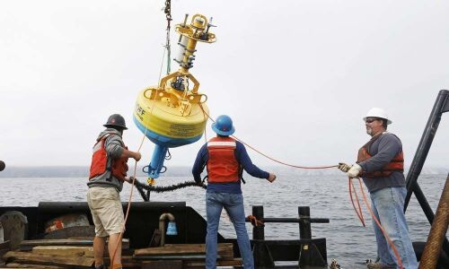 California sound system tries to keep whales and ships apart