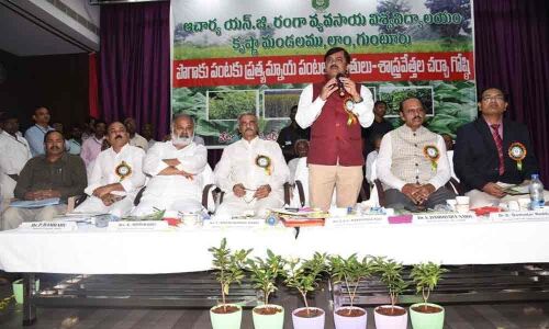 Encourage alternative crops to tobacco: Experts