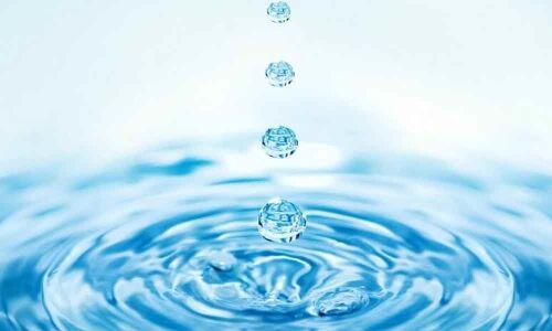 Managing water must be top priority for cos