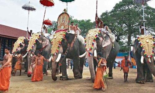 Captive elephants suffer stress