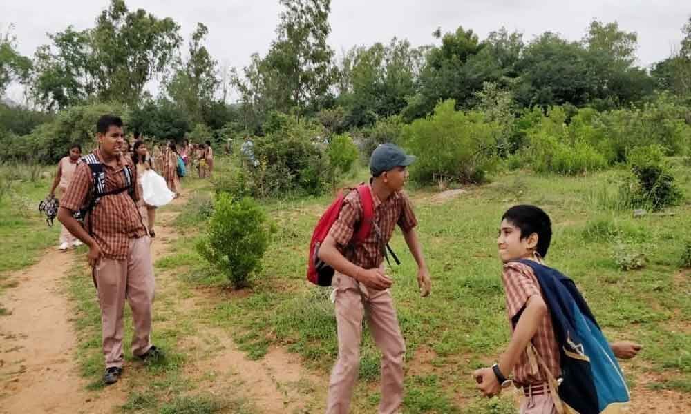 Seed balls dropped in Chittapur forest