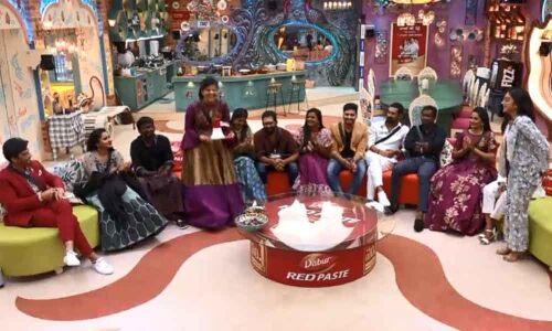 Bigg Boss Telugu Season 3: Episode 28 Highlights