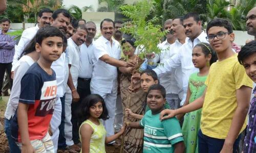 MLA plants saplings as part of green drive