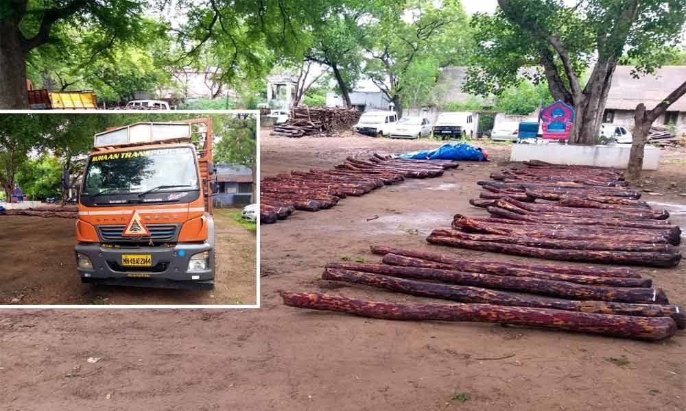 Police arrested 5 red sander smugglers recovered 30lakh worth 45 red sander logs