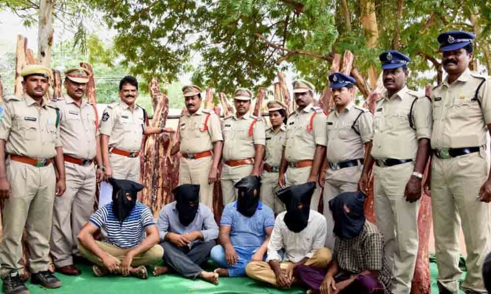 Kadapa: 30 lakh worth red logs seized, 5 nabbed