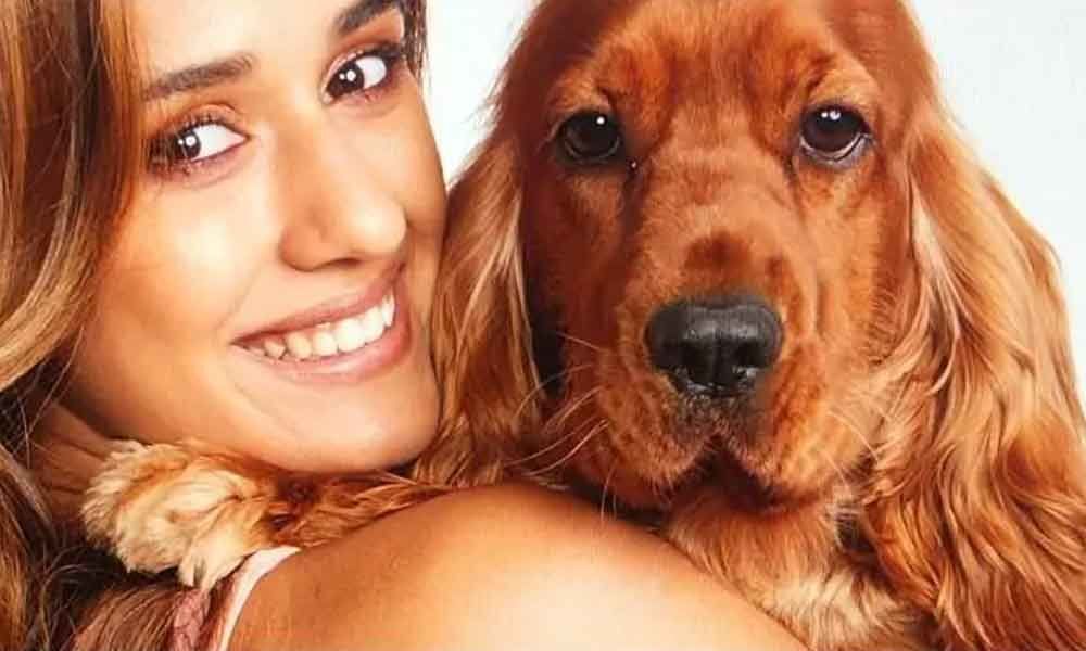 Disha Patani admits being a ardent pet lover