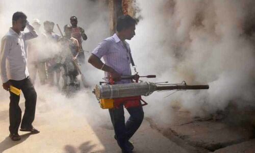 12,000 dengue patients hospitalised in Bangladesh