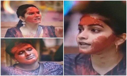 Bigg Boss Telugu Season 3: Episode 30 Highlights