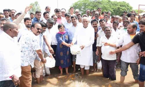 Fish seedlings released in Mancherial