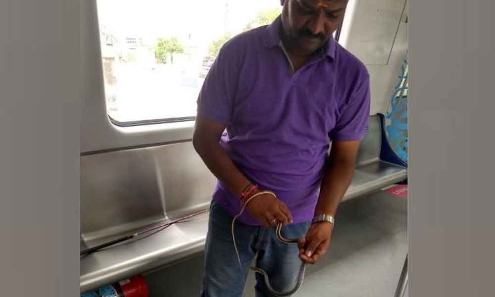 Snake captured on a Metro train in Hyderabad