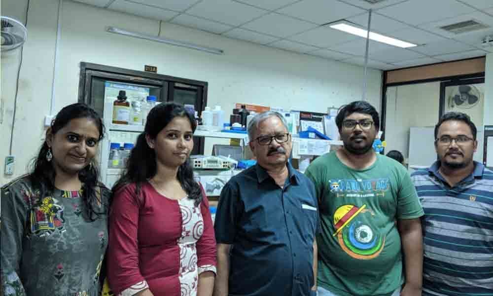 IIT-Madras researchers obtain giant cancer cells for research