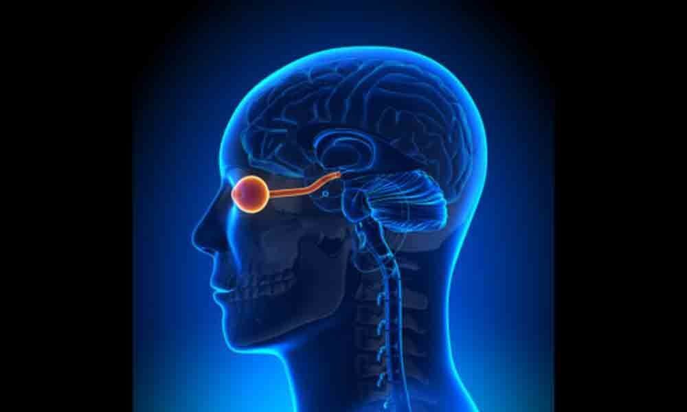 Optic nerve stimulation offers hope for visually impaired