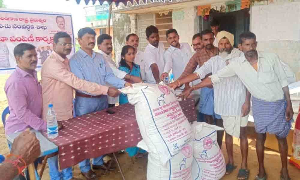 Mancherial: Free feed, medicines distributed to shepherds