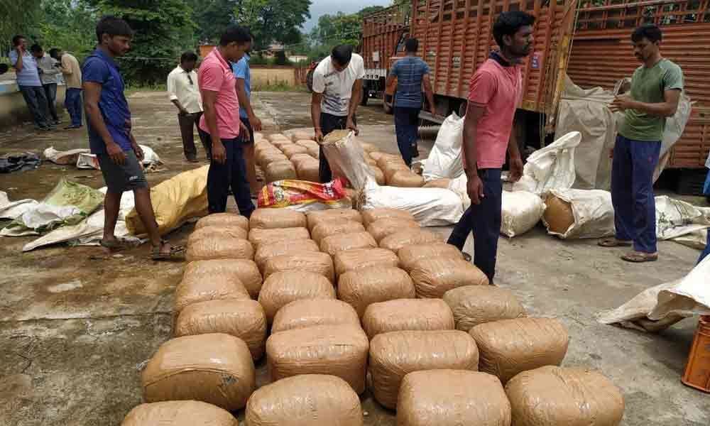 Huge quantity of ganja seized in Vizianagaram