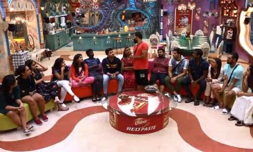 Bigg Boss 3 Telugu Week 5: Captaincy Task Looks terrifying