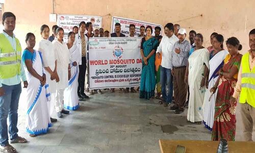 World Mosquito Day awareness rally held