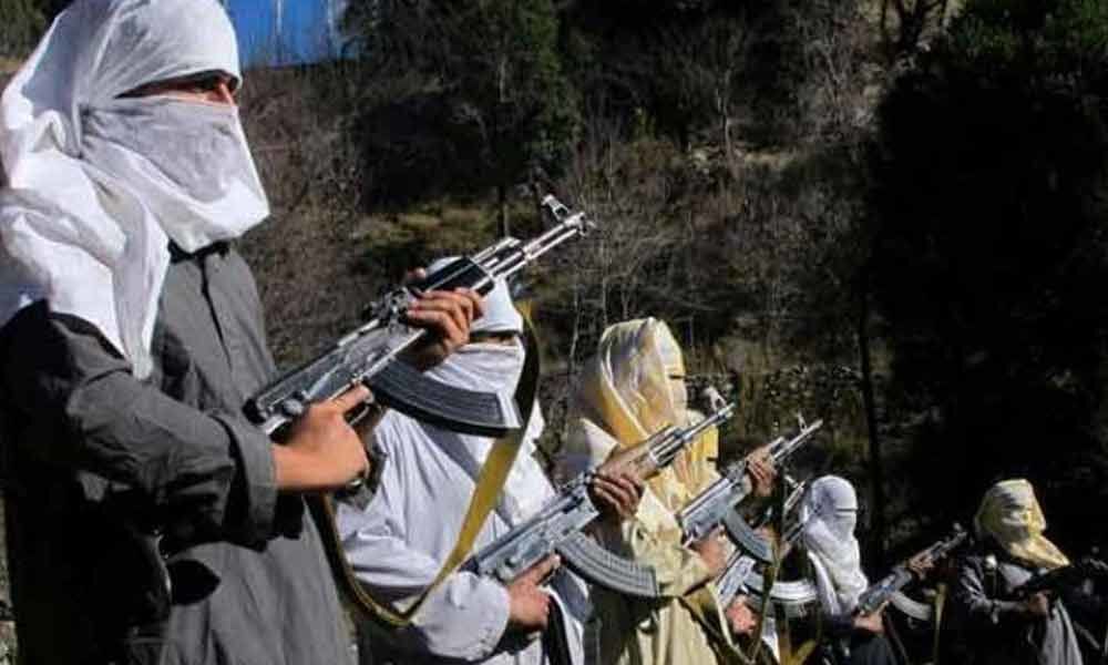 Lashkar-e-Taiba terrorist, SPO die in first battle post 370 axing