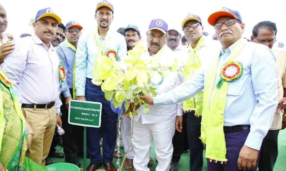 Sandra, SCCL join hands for green cause in Khammam