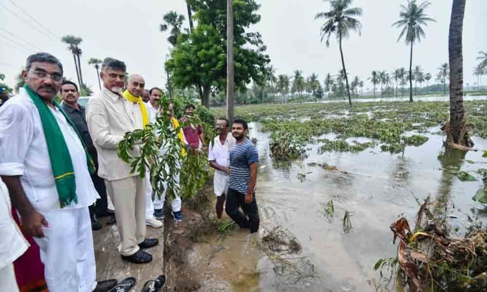 Flood victims left in the lurch: Naidu