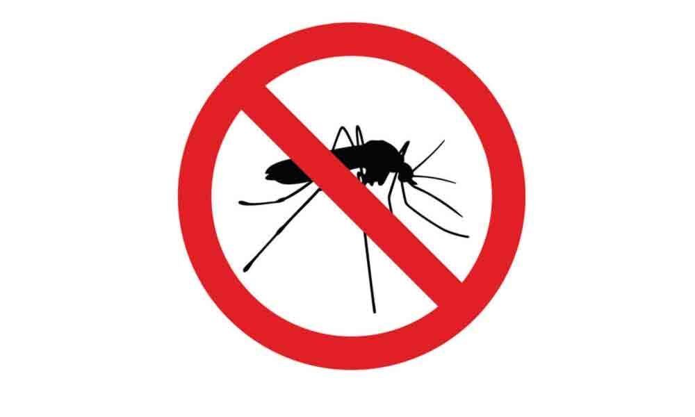 Malaria, dengue cases drop in Srikakulam