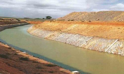 50,000 fishlings released into Kalwakurthy Lift Irrigation lake in Gadwal