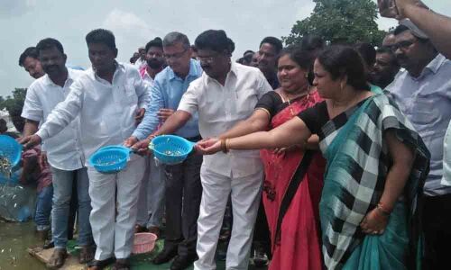 Fish seedlings worth 3.3 cr released in Singeetam reservoir