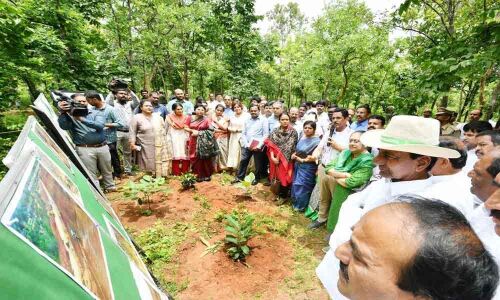 CM wants Revenue Act to root out graft