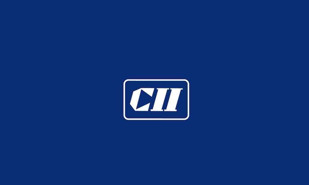 CII conducts investors meet for MSMEs