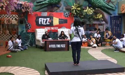 Bigg Boss Telugu Season 3: Will this new captain live up to expectations?