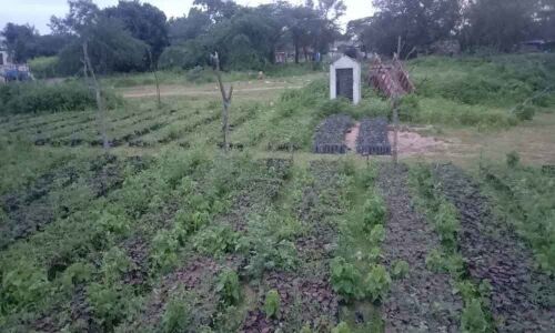 Villagers see red as green drive neglected