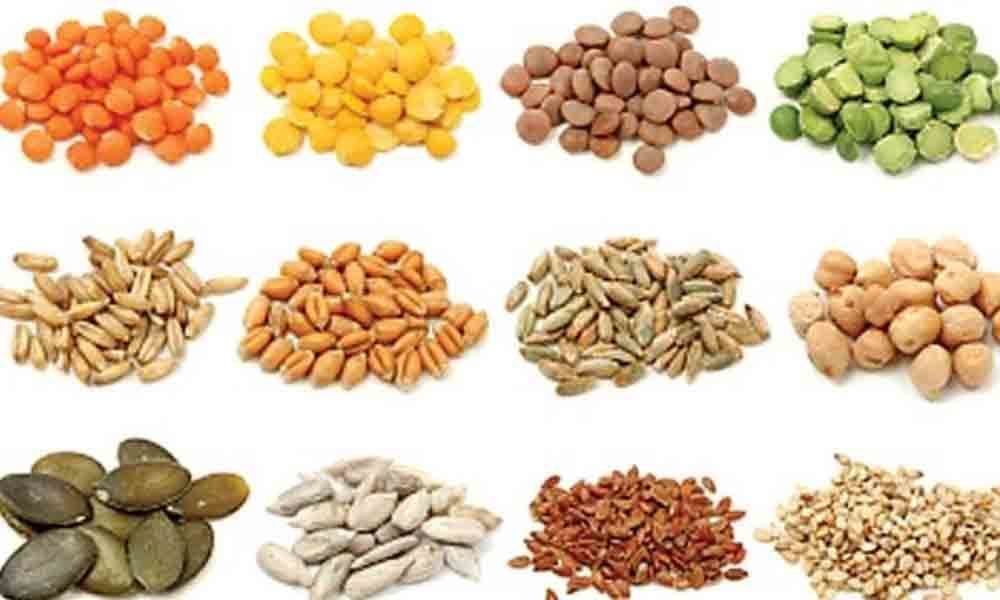 Agriculture officials warn of strict action against spurious seed sellers in Suryapet