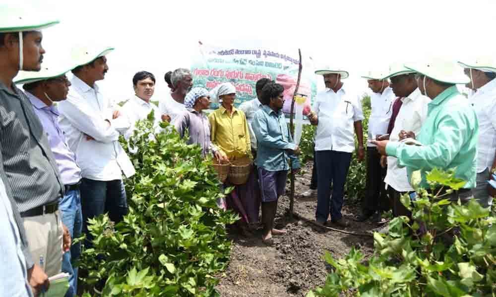 Farmers imparted training on pest control in Gadwal