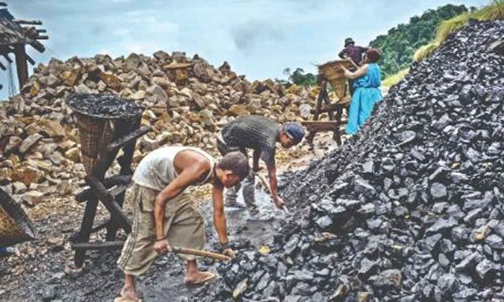 India to bridge coal import gap by 50%