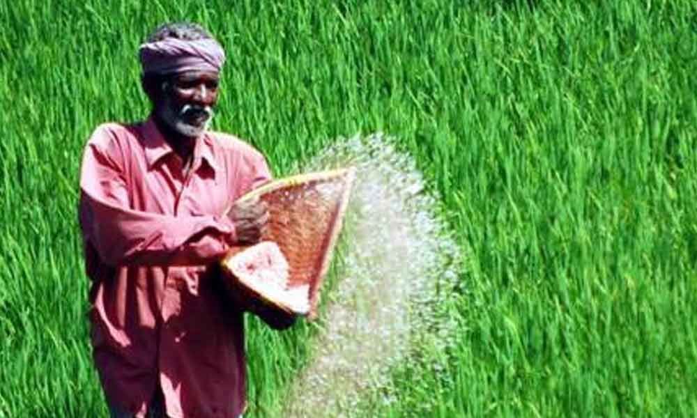 Minister Niranjan Reddy assures adequate supply of urea to farmers