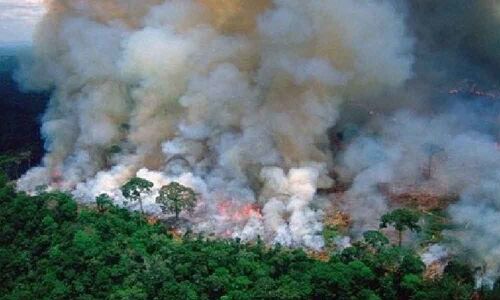 International crisis: French President on Amazon wildfires