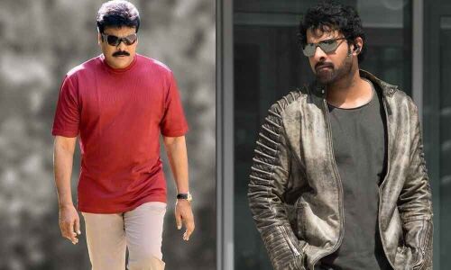 Cough up more for Mega and Rebel shows: Distributors